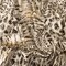 Beige-Black-Multi Reptile Skin Printed Linen Blend Woven Fabric By the Yard
